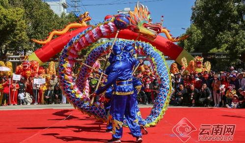 成人全套舞龙视频,成人全套舞龙视频精彩回顾