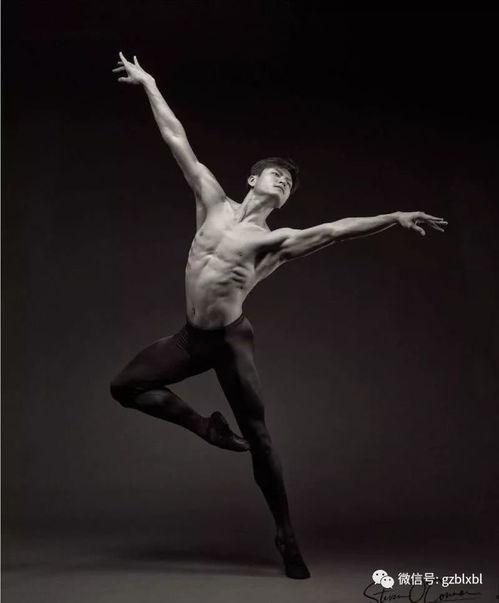 怀特成人舞蹈视频大全,舞动人生，尽享舞蹈魅力