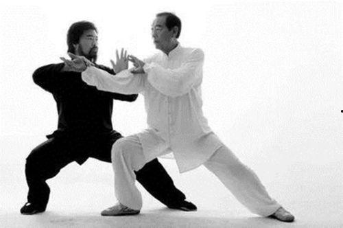 成人武术动作技巧视频,动作技巧视频深度解析