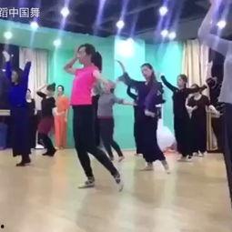 南岳成人跳舞视频大全,精彩纷呈的成人舞蹈盛宴