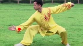 太极拳成人考试视频,传承国粹，展现太极魅力