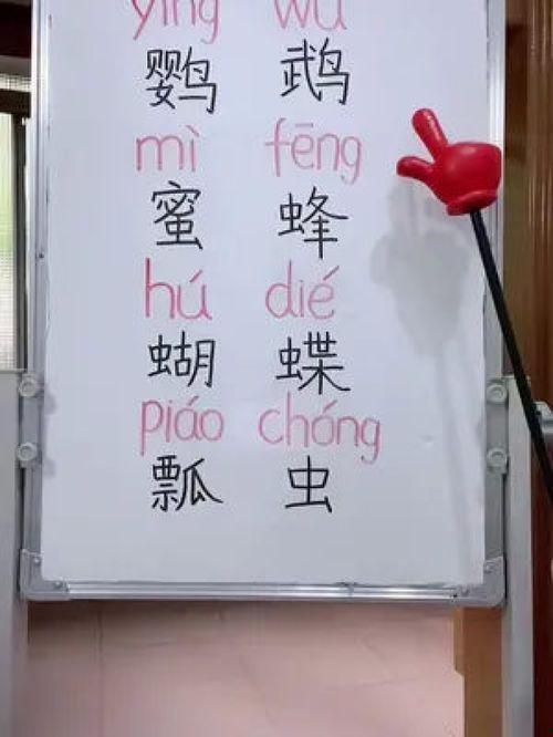 成人识字课程教学视频,开启知识大门的教学视频概览