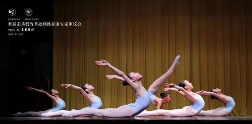 芭蕾独舞成人舞视频教学