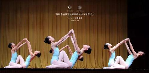 芭蕾独舞成人舞视频教学