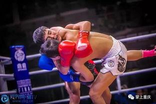 业余成人拳击比赛视频,业余成人拳击赛事精彩瞬间回顾