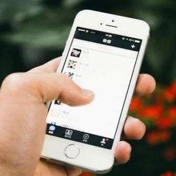 成人手机短视频q,成人手机娱乐新风尚