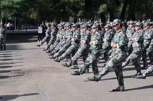 中国成人军训视频网站