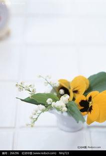 成人花朵手指操大全视频